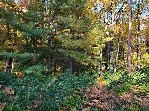 0 Scenic River Drive, Alger, MI 48610