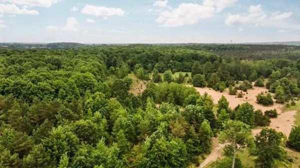 0 Cedar Creek Road, Fife Lake, MI 49633