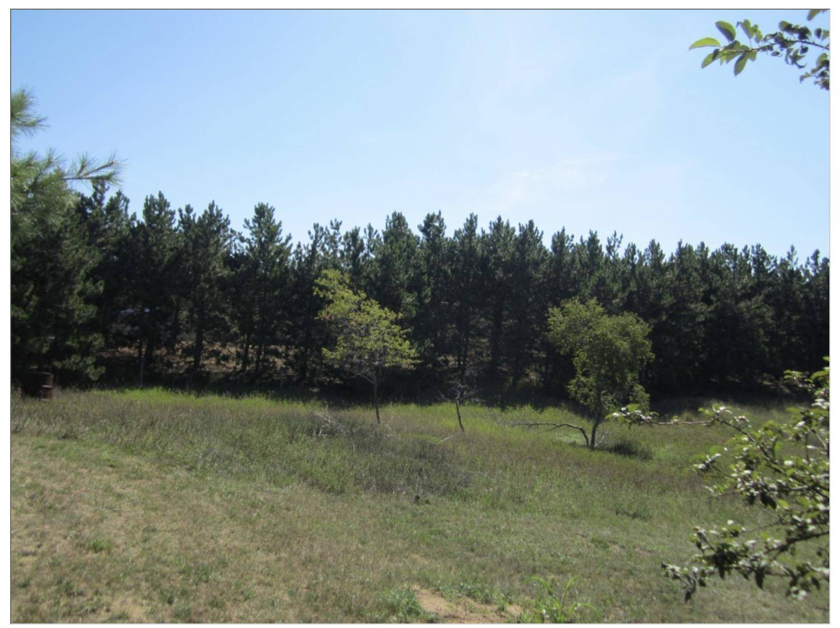 Traverse City, MI 49685,3161 Tibbets Drive