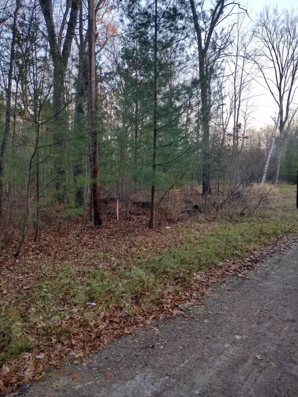 Prescott, MI 48756,XX Beals Drive