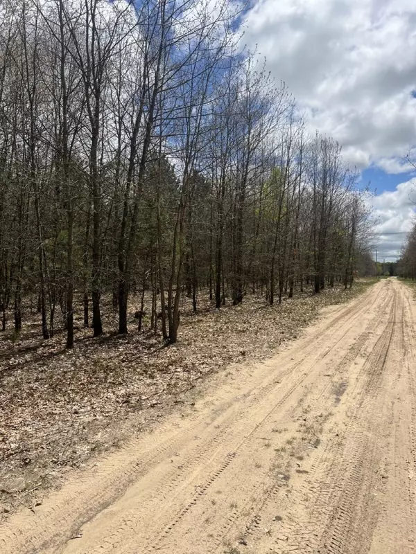 Mesick, MI 49668,00 Horton 14 Mile Road