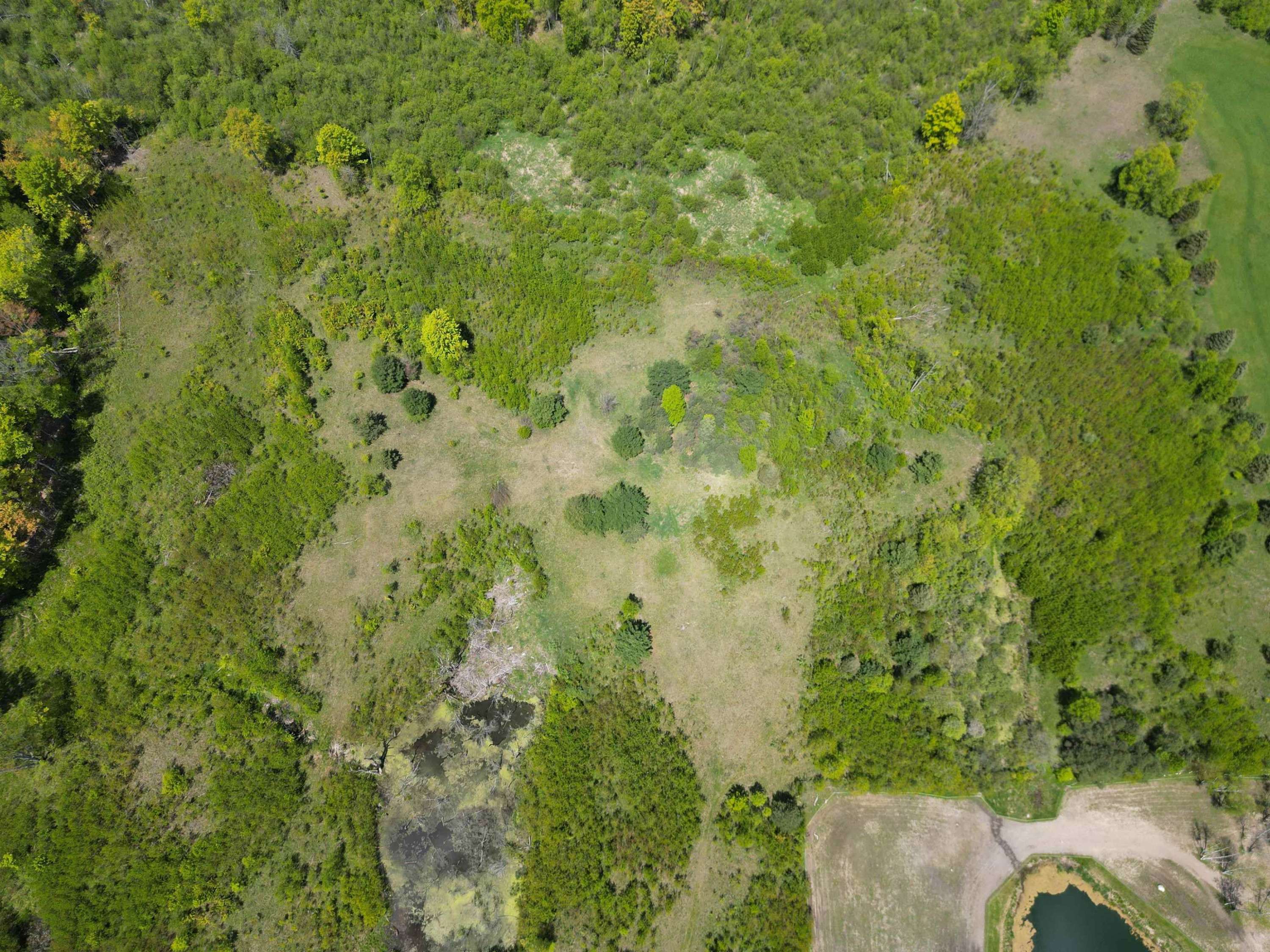 Marion, MI 49688,TBD 19 Mile Road