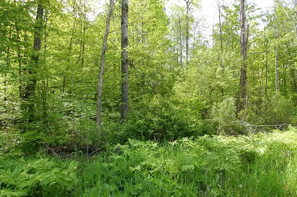 Harrietta, MI 49638,3882 S 5 1/2 Road