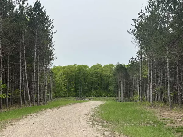 Traverse City, MI 49685,TBD Theron Road