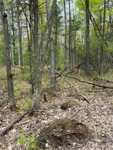 Muncie View Trail, Traverse City, MI 49696