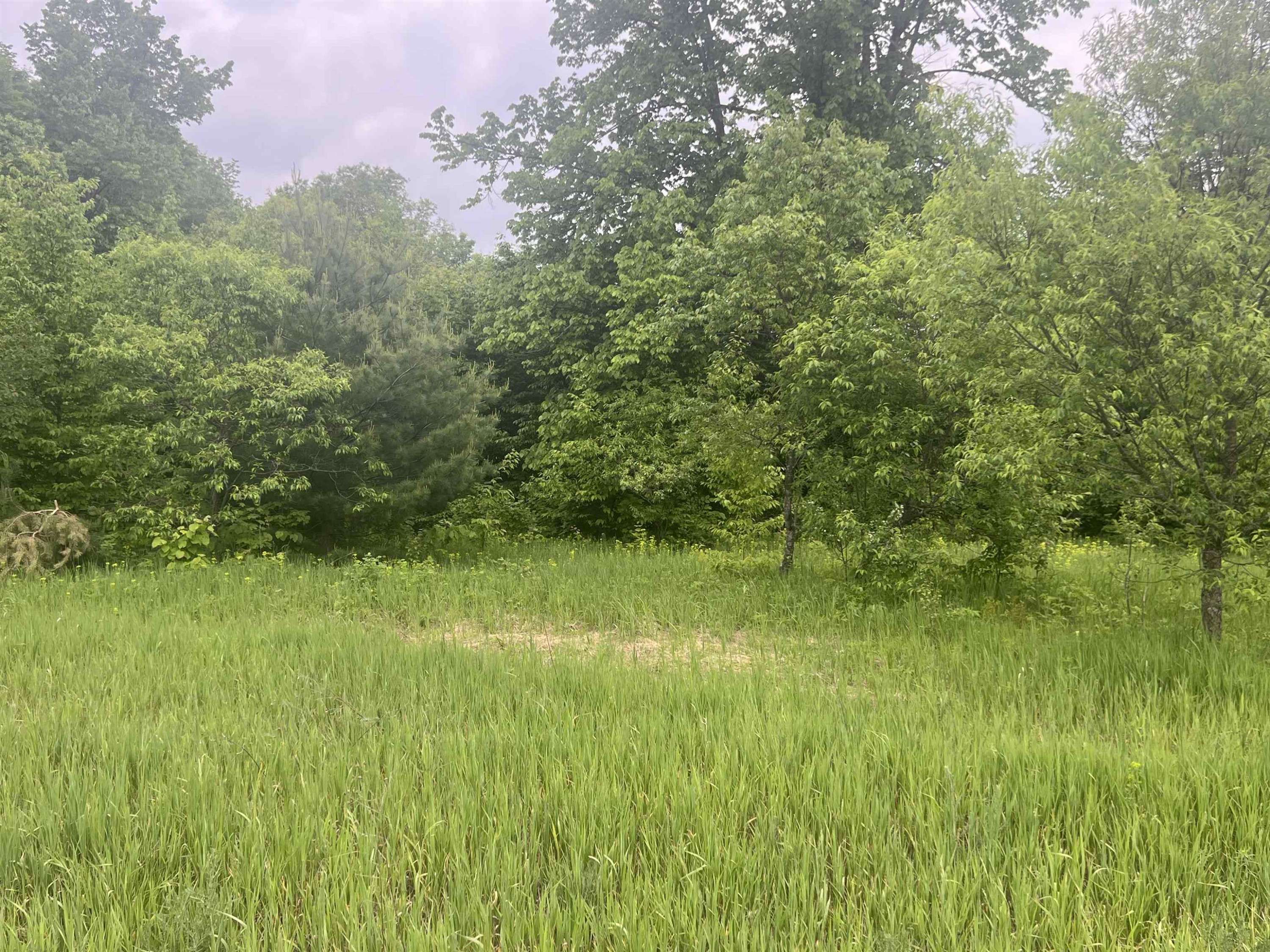 Kalkaska, MI 49646,00 Wood Road, NE