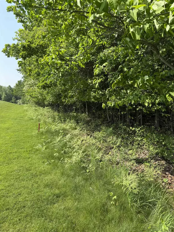 0000 Mooney Way, Kewadin, MI 49648