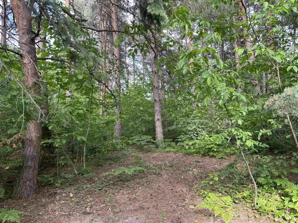 Kewadin, MI 49648,0 Forest Drive