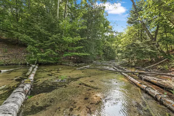 Cedar, MI 49621,405 E Shetland Trail