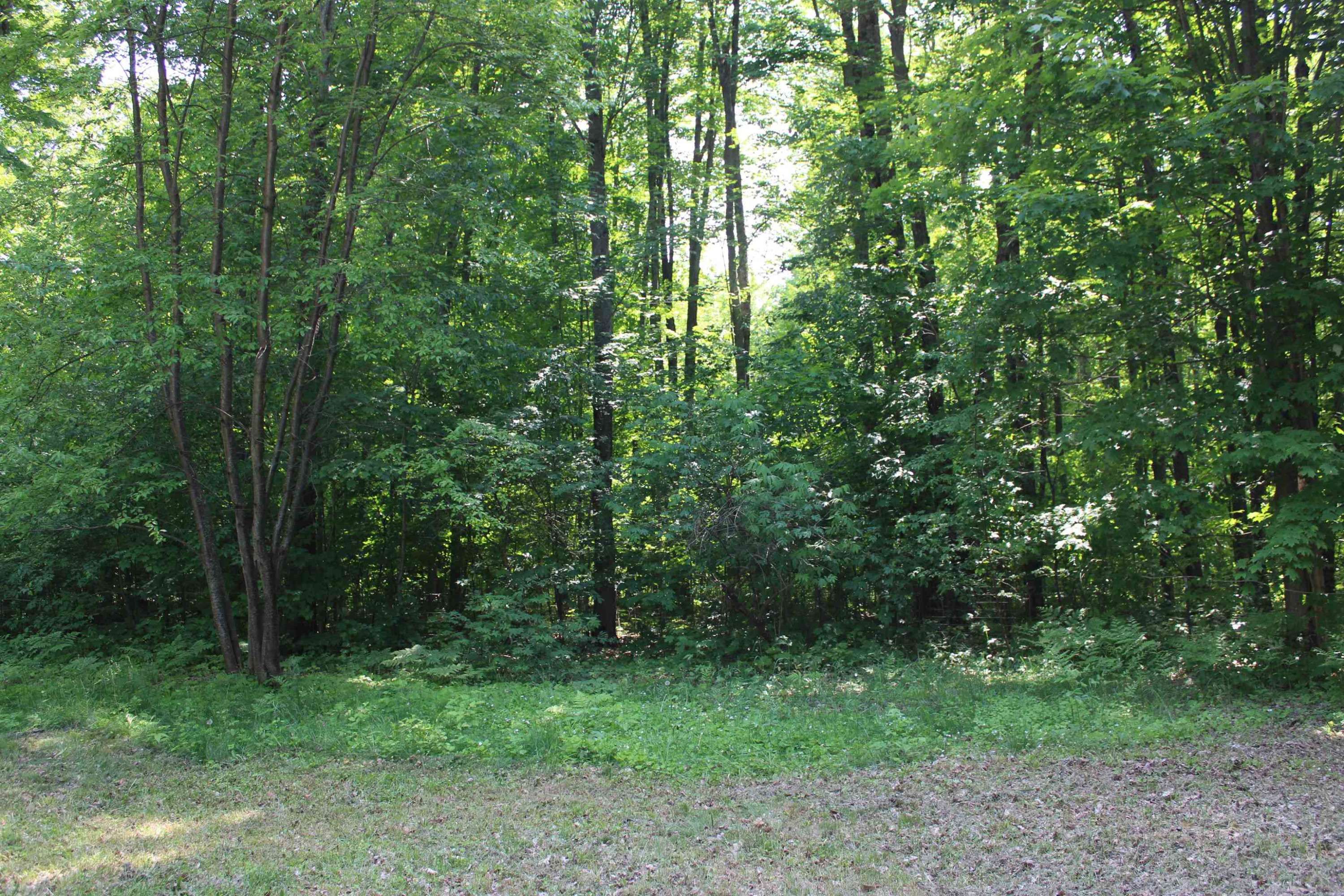 Kalkaska, MI 49646,3156 Co Road 612 NE