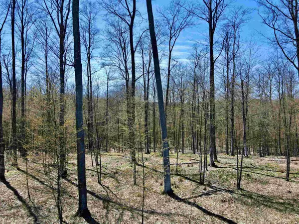Suttons Bay, MI 49682,1919 N Blue Water Court