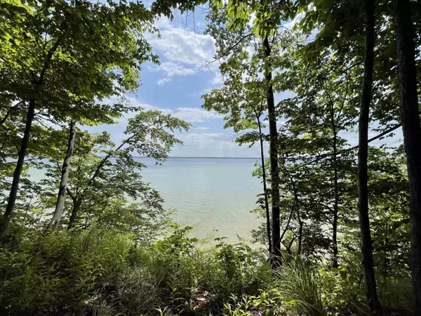 Suttons Bay, MI 49682,B S Lee Point Road