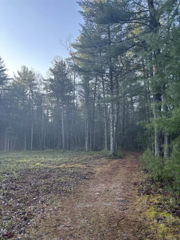 Rapid City, MI 49676,00 Aarwood Trail