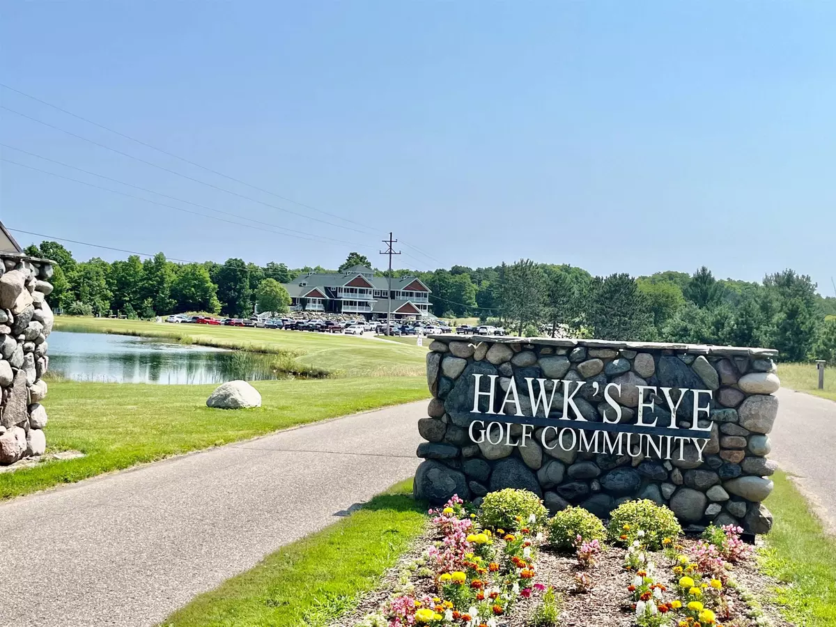 Bellaire, MI 49615,V/L 60 Sparrow Hawk Drive