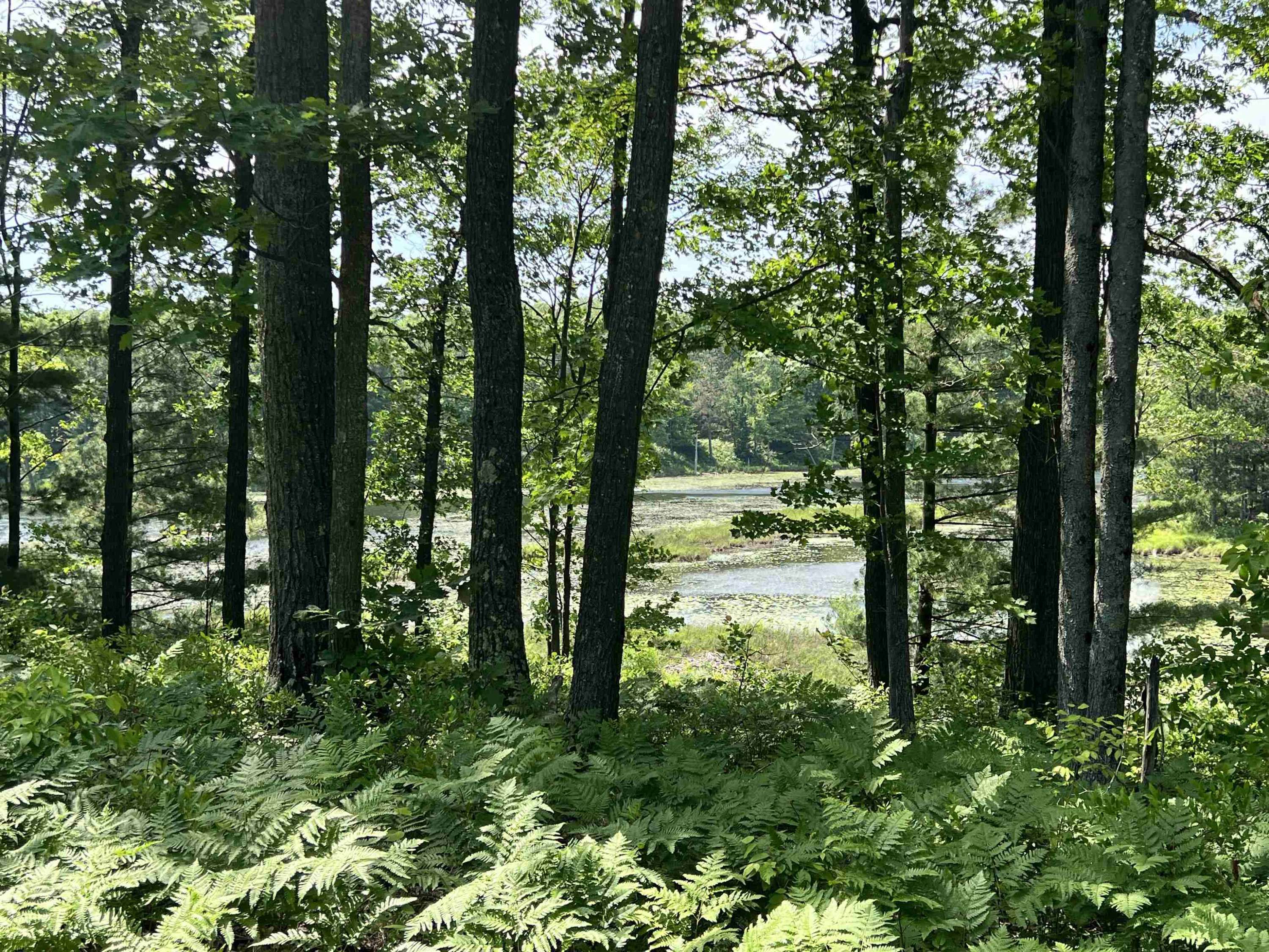 Harrison, MI 48625,8653 Lakeside Trail