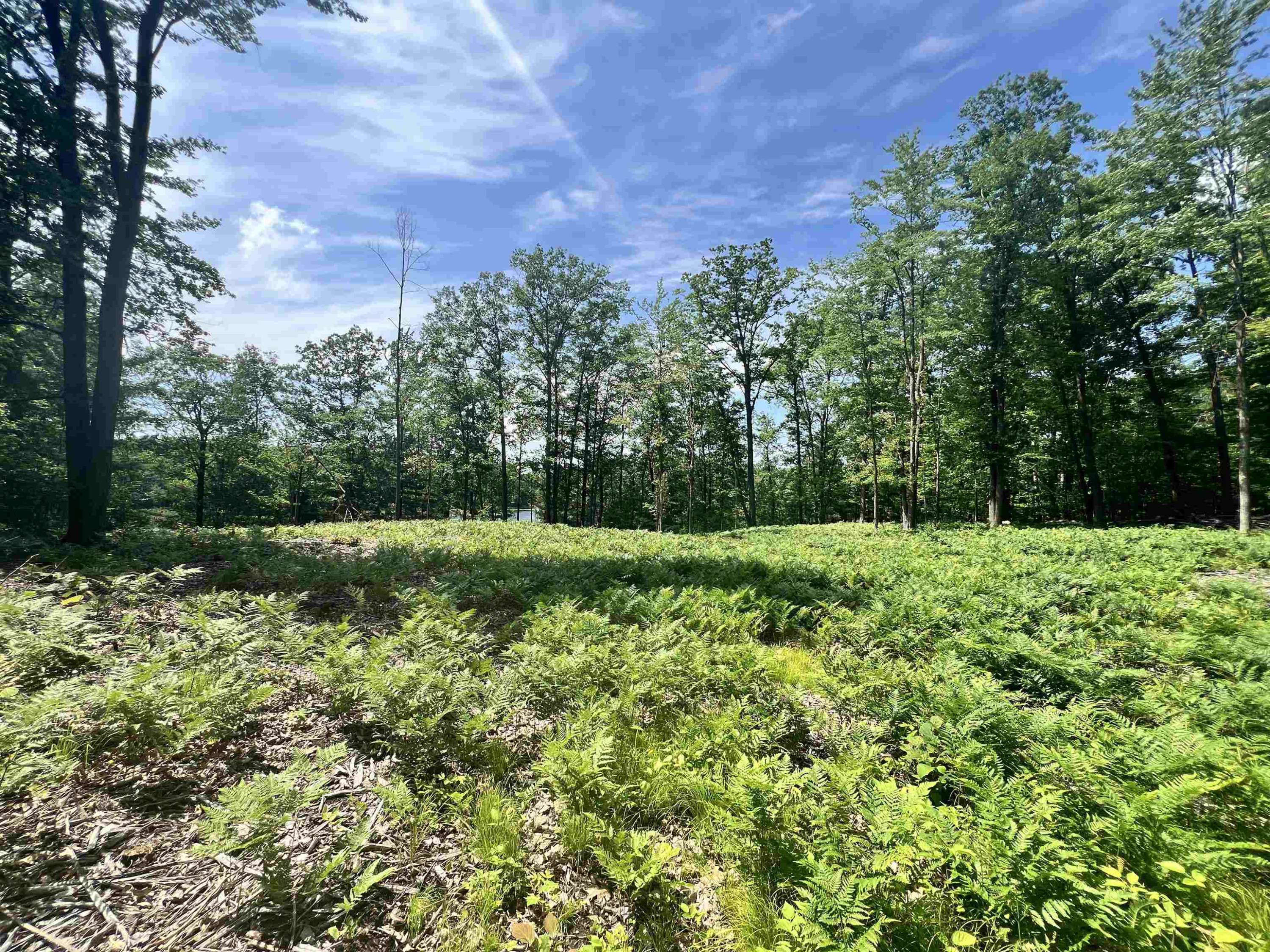 Harrison, MI 48625,8653 Lakeside Trail
