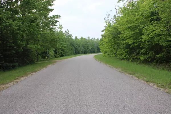 Elmira, MI 49730,Snowridge Trail