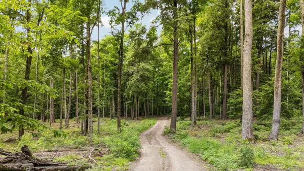 Traverse City, MI 49684,00 Woodland Trail