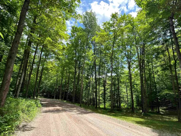 Maple City, MI 49664,W Beech Bark Trail