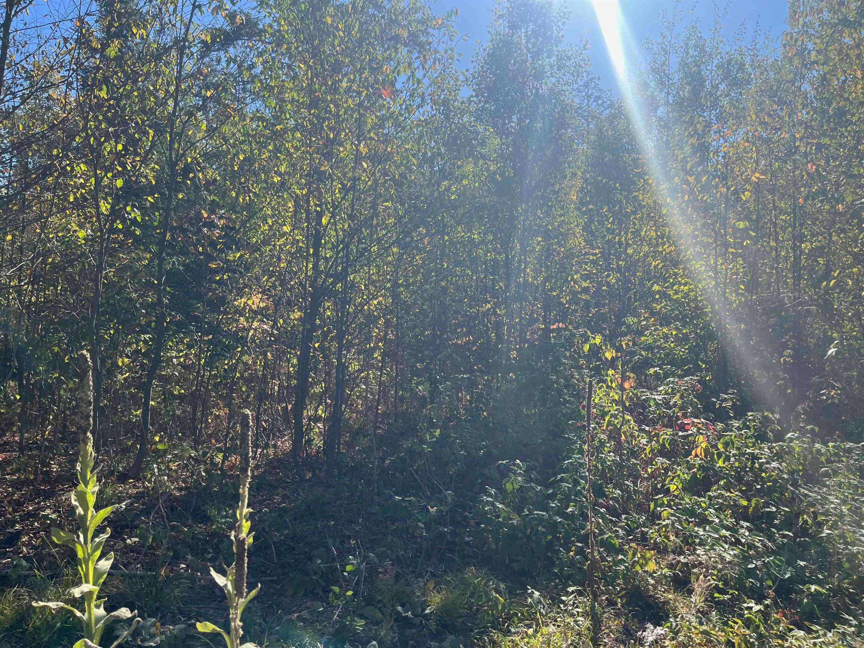 Traverse City, MI 49685,8889 Hemlock Hill Drive