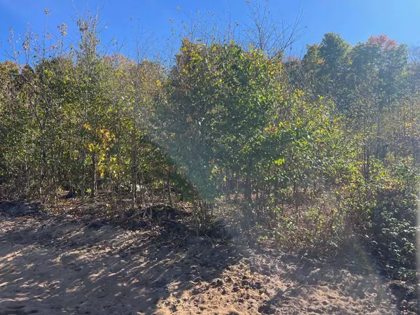 Traverse City, MI 49685,8753 Hemlock Hill Drive