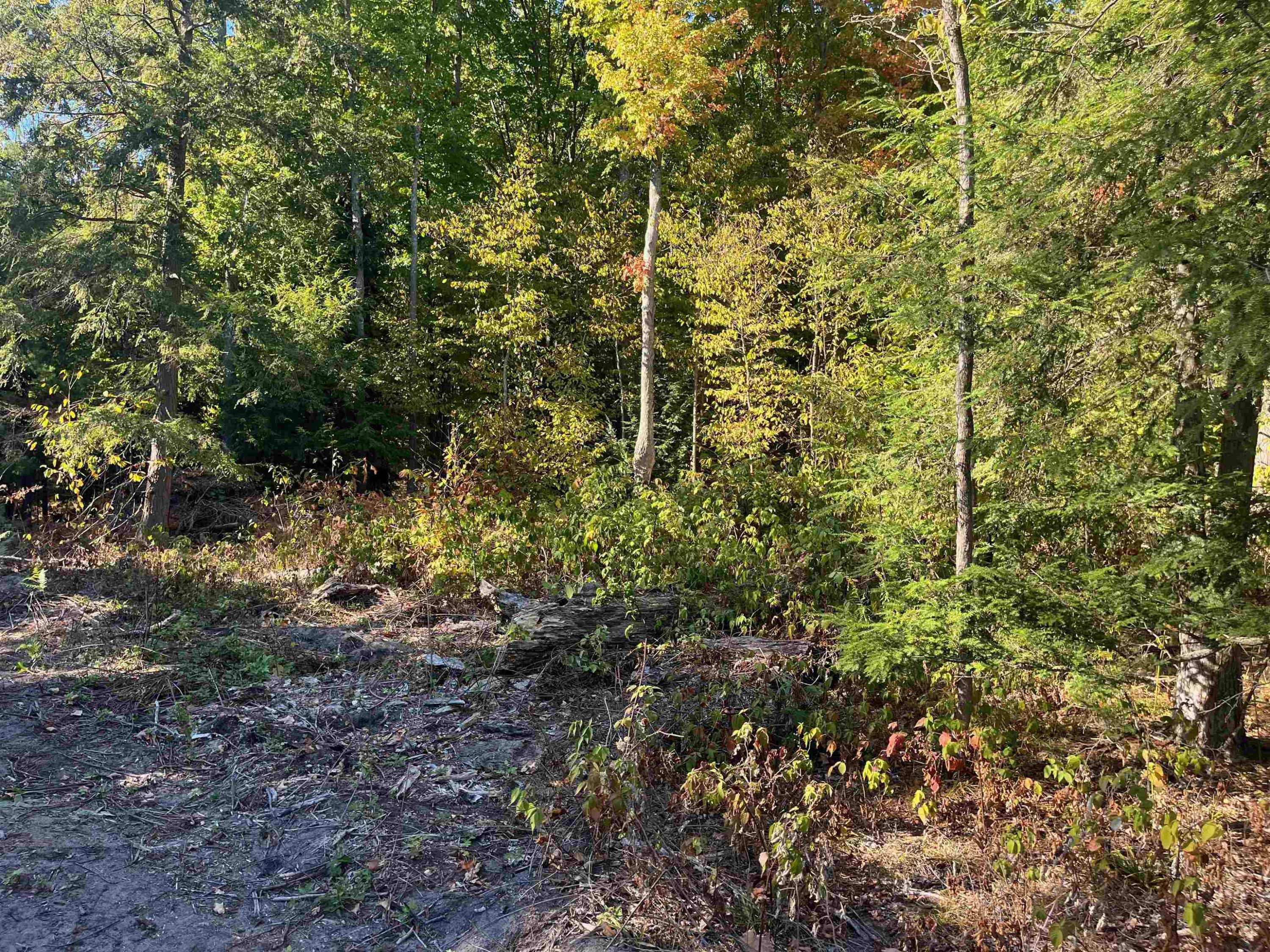 Traverse City, MI 49685,4735 Leaning Birch Drive
