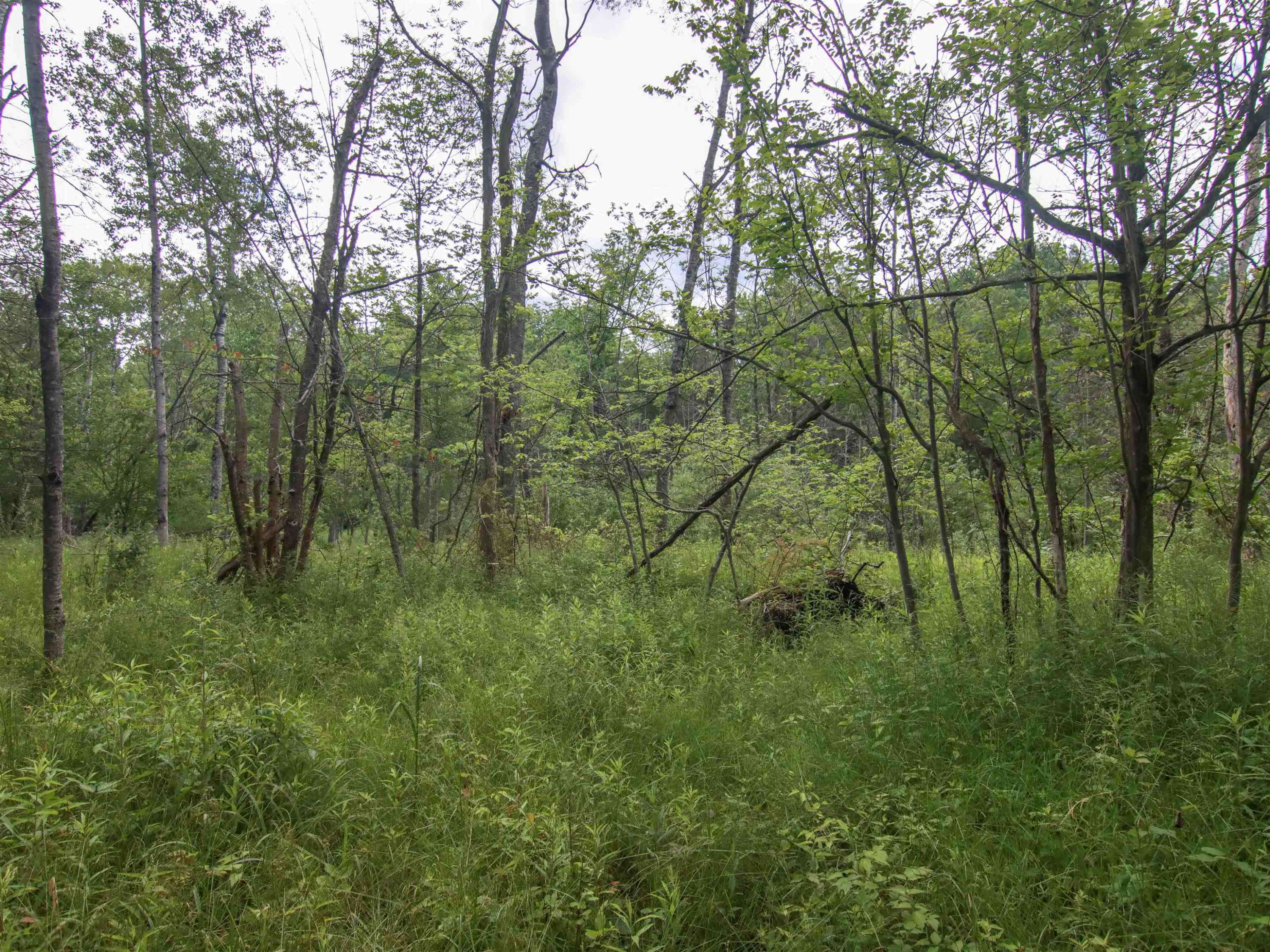 Thompsonville, MI 49683,000 Holly Drive
