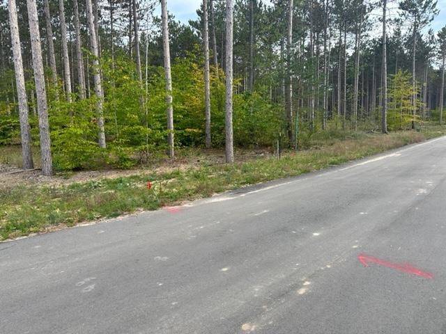 Traverse City, MI 49685,Lot 45 Cascade Trail