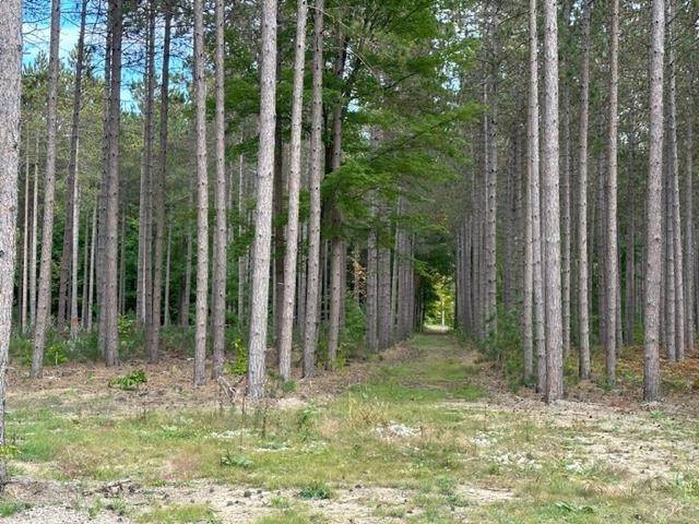 Traverse City, MI 49685,Lot 40 Cascade Trail