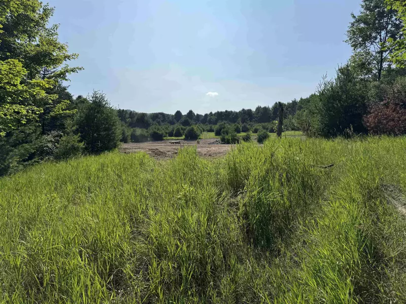 Lot #6 E Bellinger Road, Cedar, MI 49621
