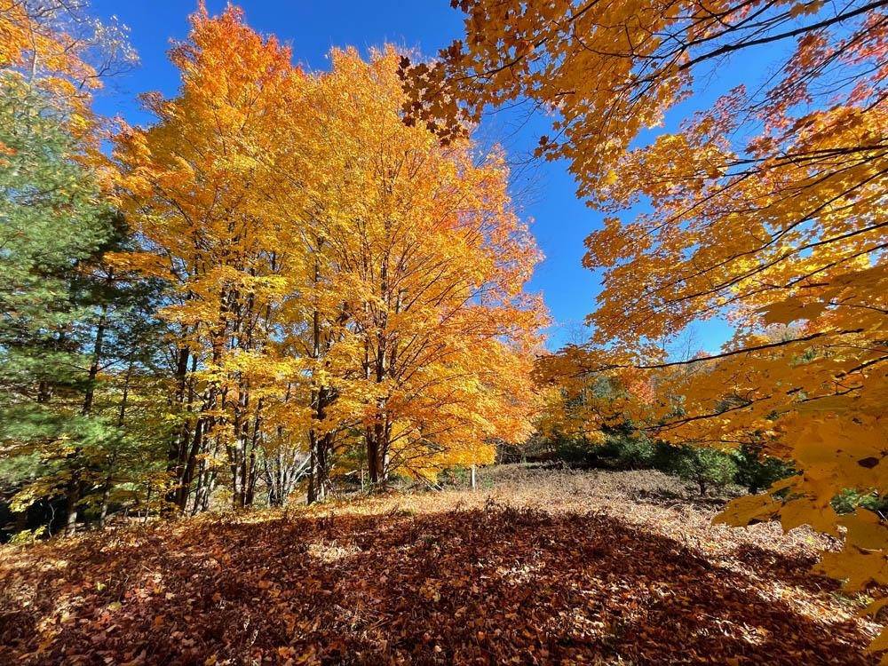 Williamsburg, MI 49690,Unit 20 NW Dockery Road, Nw