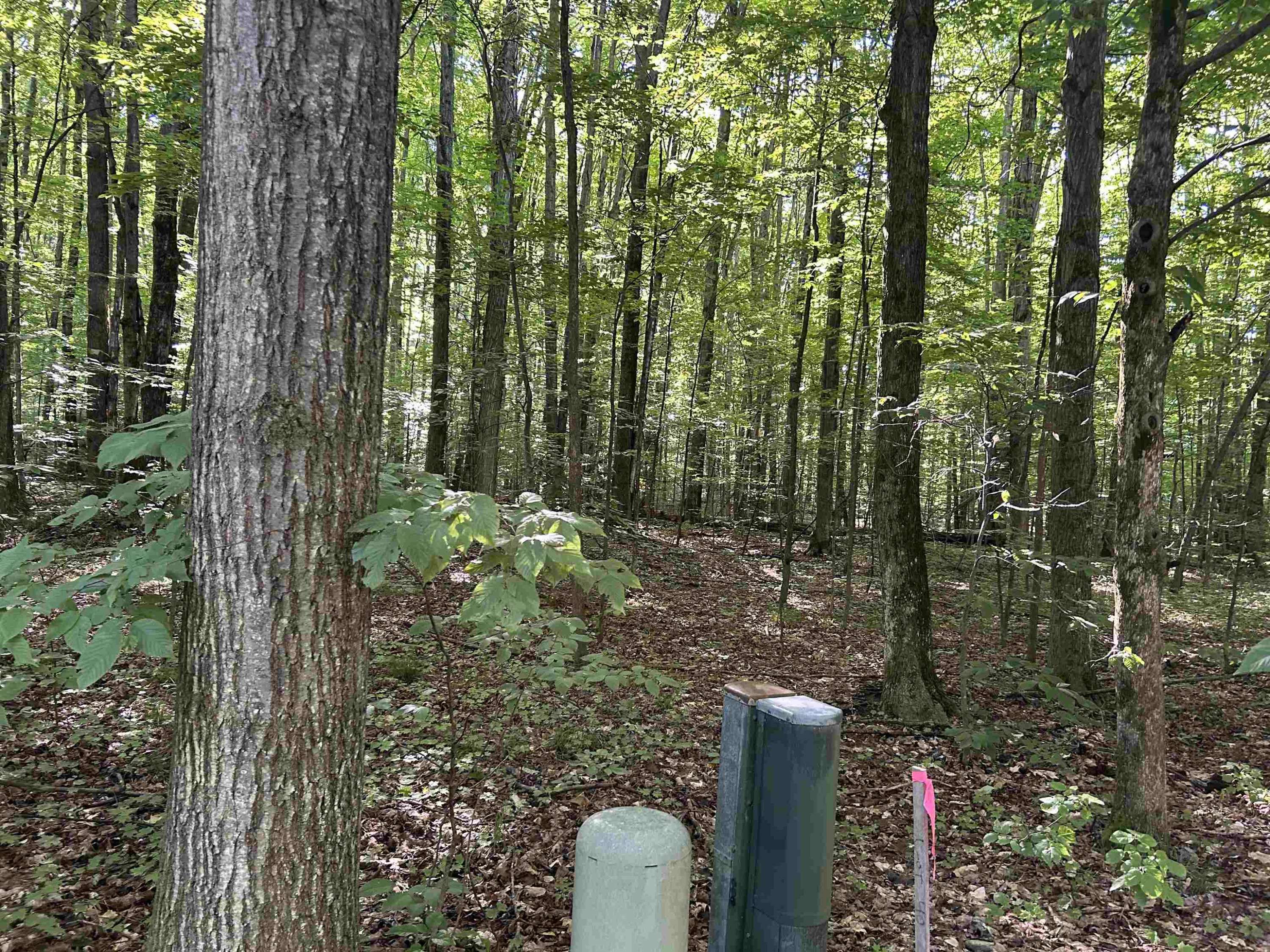 Bellaire, MI 49615,Lot 41 Heideldorf Lane