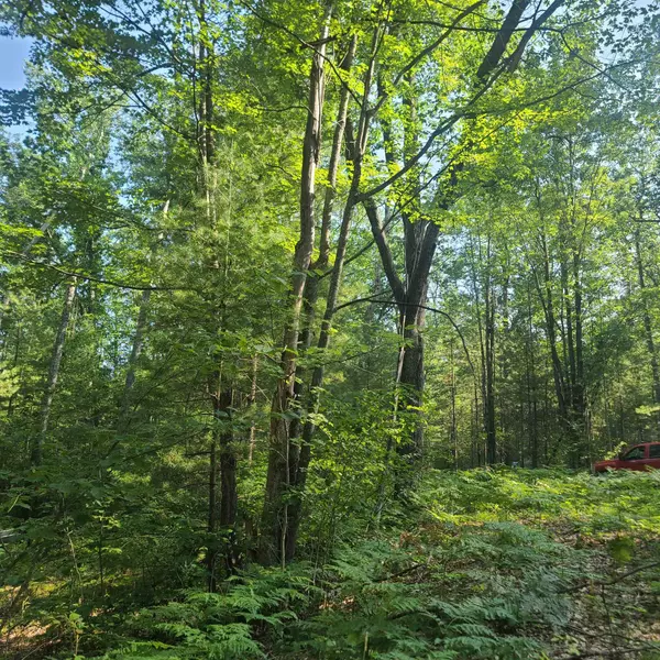 Kalkaska, MI 49646,0000 NE Bailey Road