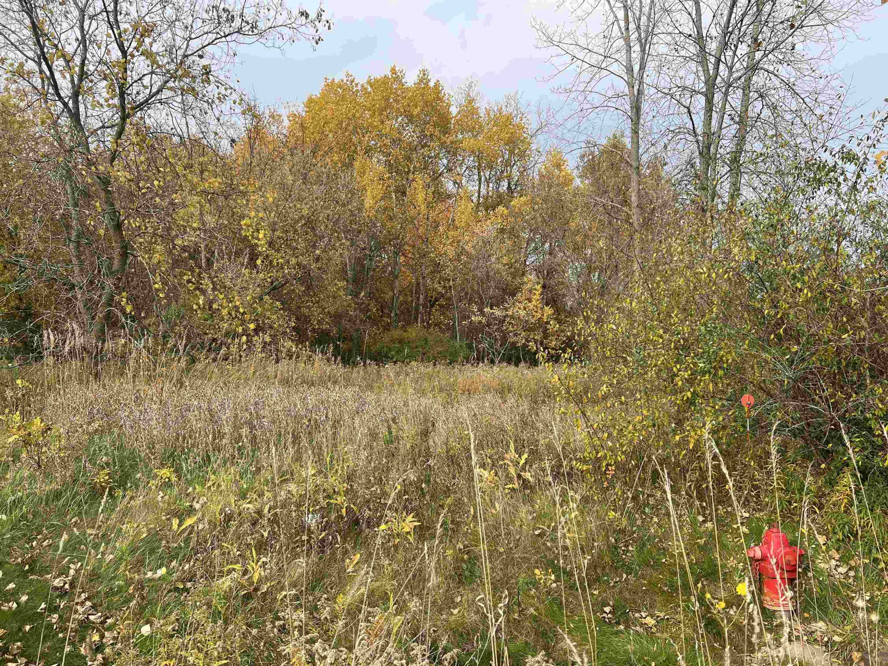 Mount Pleasant, MI 48858,Lot 10 McDonald Drive