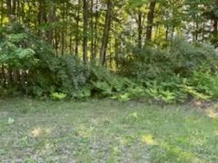 Tawas City, MI 48763,N/A Huron Woods Drive