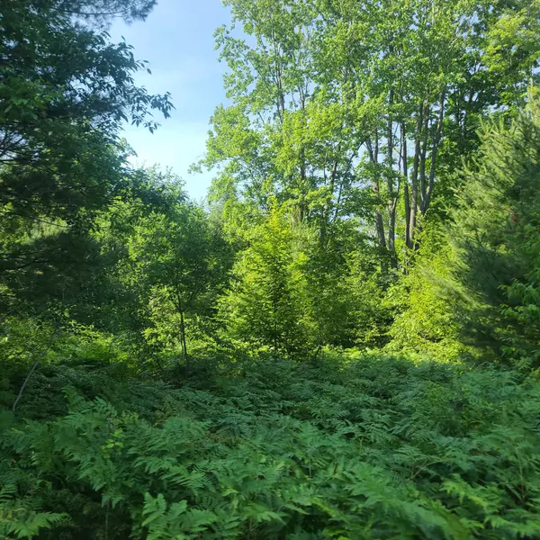 Fife Lake, MI 49633,0002 M-66 SE