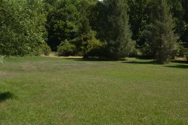 Mount Pleasant, MI 48858,TBD Rose Marie Lane
