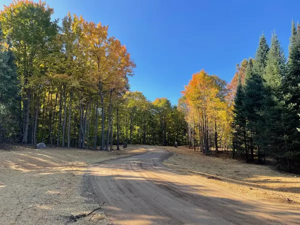 Fife Lake, MI 49633,10732 SW Pine Ridge Drive