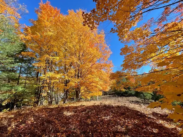 Williamsburg, MI 49690,Unit 8 NW Dockery Road, Nw