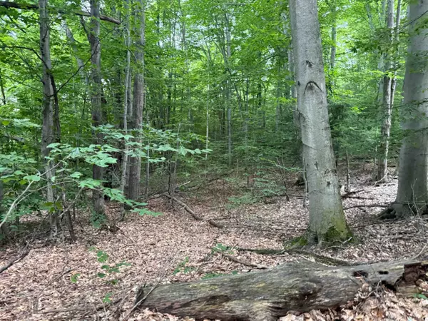 Empire, MI 49630,0000 S Bridle Trail