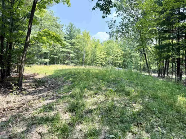 Maple City, MI 49664,Parcel E W Big Sky Trail