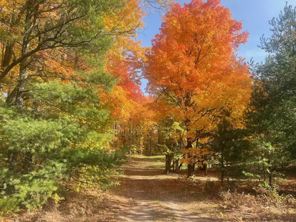 Fife Lake, MI 49633,10601 SW Pine Ridge Drive