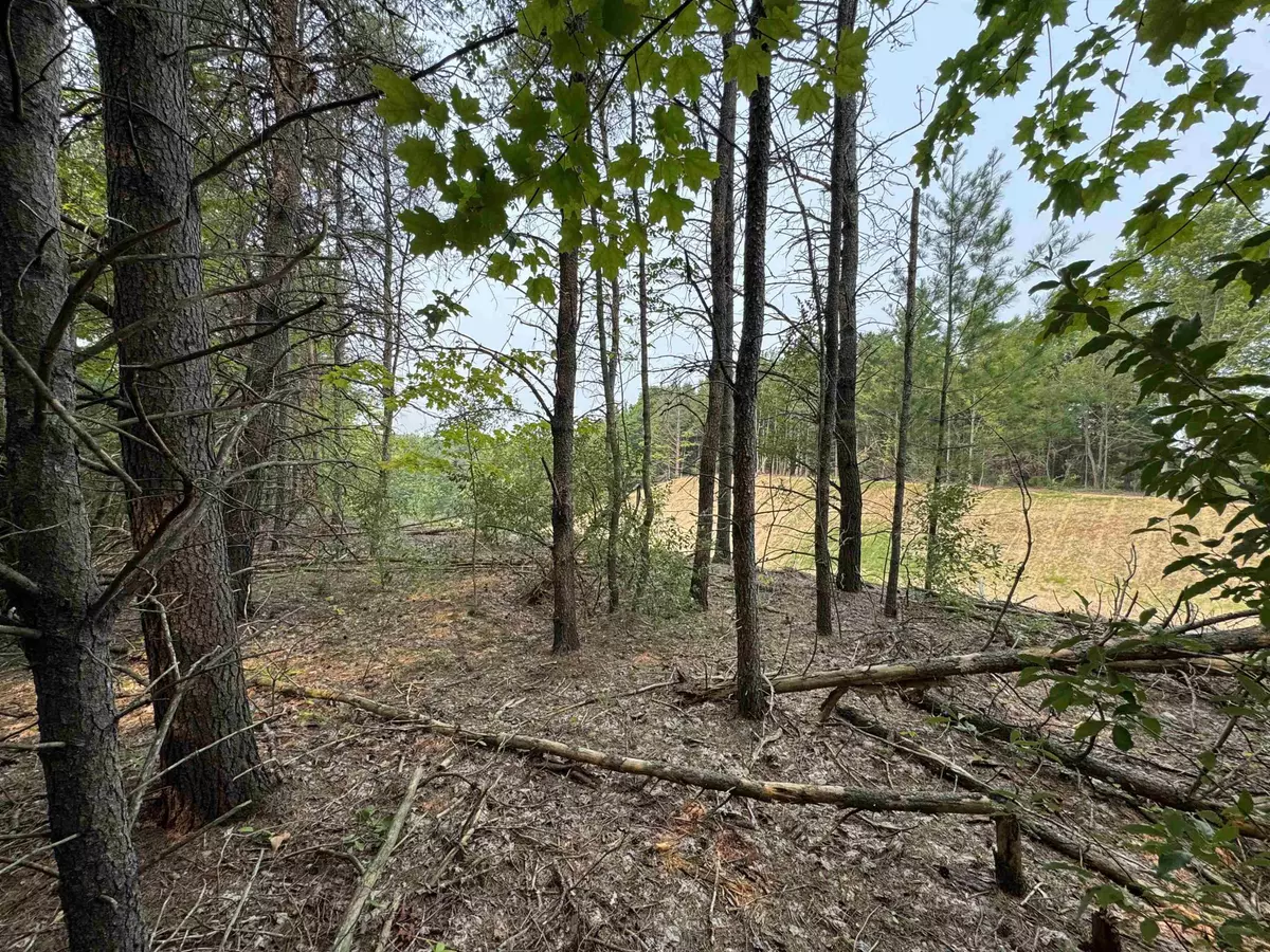 Cedar, MI 49621,Lot #1 E Bellinger Road