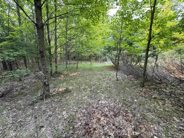 Cedar, MI 49621,Lot #1 E Bellinger Road