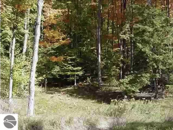 Kewadin, MI 49648,VL #6 Timber Valley Court