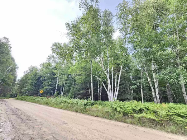 Fife Lake, MI 49633,00 SE Lund Road