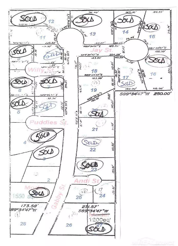 Croswell, MI 48422,0 ANDI STREET LOT 25