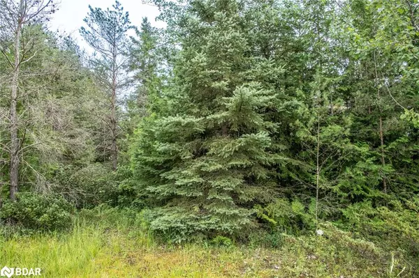 Kawartha Lakes, ON K0M 2B0,LOT 250 Mcguire Beach Road