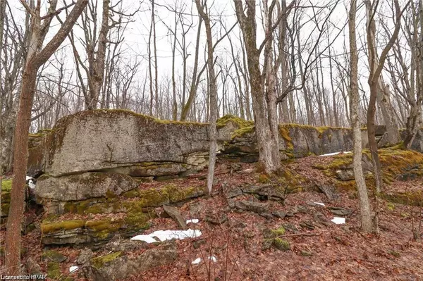 Georgian Bluffs, ON N0H 2T0,PT LT 25 Concession Rd 24