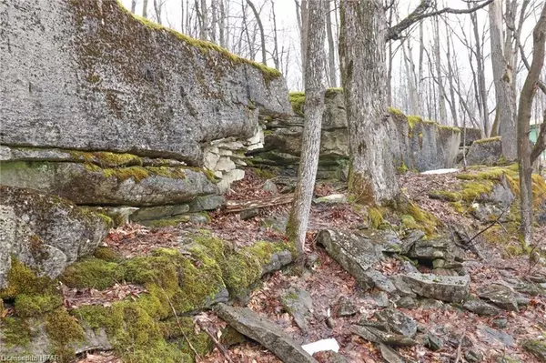 Georgian Bluffs, ON N0H 2T0,PT LT 25 Concession Rd 24